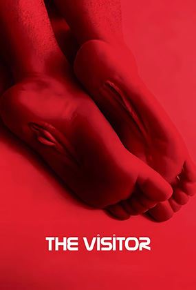 The Visitor